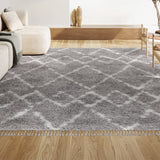 Mercer Shag Plush Tassel Moroccan Tribal Geometric Trellis Area Rug