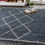 Beautiful mercer Shag Plush Tassel Moroccan Tribal Geometric Trellis Area Rug