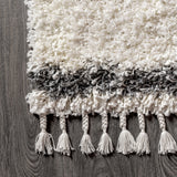 Beautiful mercer Shag Plush Tassel Moroccan Tribal Geometric Trellis Area Rug