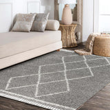 Beautiful mercer Shag Plush Tassel Moroccan Tribal Geometric Trellis Area Rug