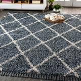 Gabrielle mercer Shag Plush Tassel Moroccan Geometric Trellis Area Rug
