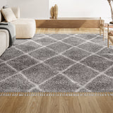 Gabrielle mercer Shag Plush Tassel Moroccan Geometric Trellis Area Rug
