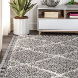 Gabrielle mercer Shag Plush Tassel Moroccan Geometric Trellis Area Rug