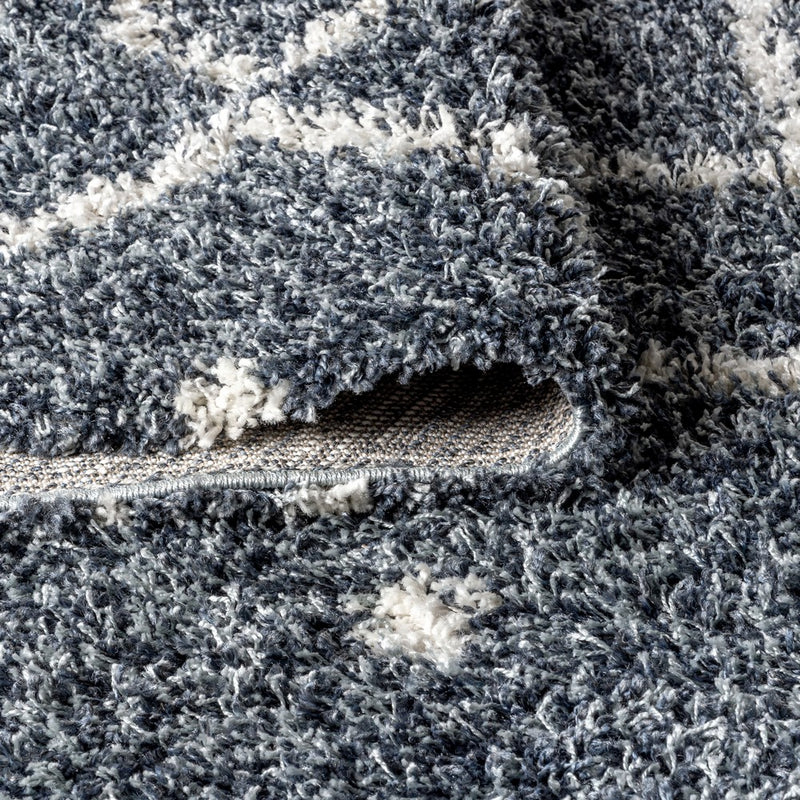 Mercer Shag Plush Tassel Moroccan Diamond Area Rug