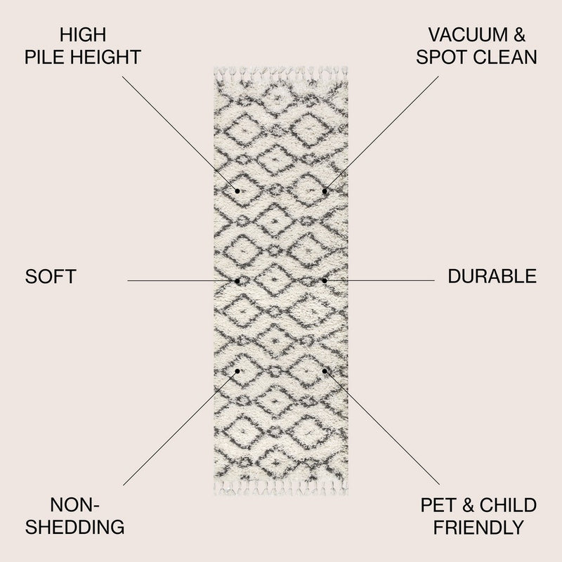 Mercer Shag Plush Tassel Moroccan Diamond Area Rug