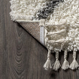 Mercer Shag Plush Tassel Moroccan Diamond Area Rug