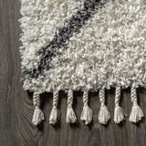 Mercer Shag Plush Tassel Moroccan Diamond Area Rug