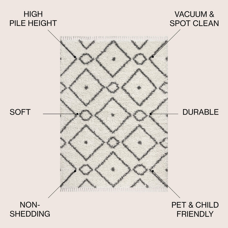 Mercer Shag Plush Tassel Moroccan Diamond Area Rug