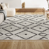Mercer Shag Plush Tassel Moroccan Diamond Area Rug