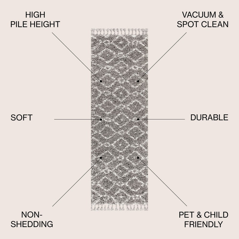 Mercer Shag Plush Tassel Moroccan Diamond Area Rug