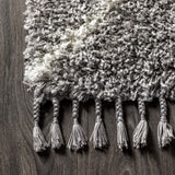 Mercer Shag Plush Tassel Moroccan Diamond Area Rug