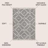Mercer Shag Plush Tassel Moroccan Diamond Area Rug