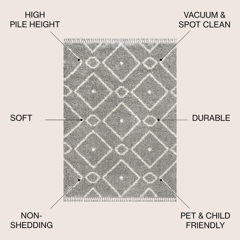 Mercer Shag Plush Tassel Moroccan Diamond Area Rug