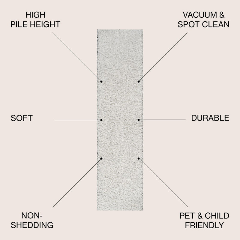 Mercer Shag Plush Area Rug