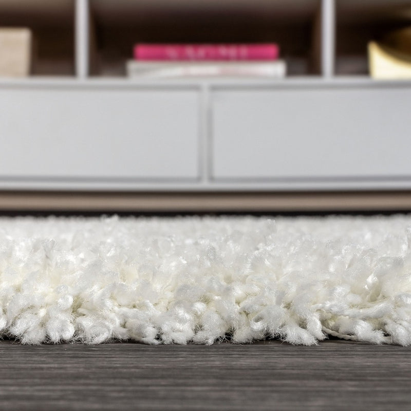 Mercer Shag Plush Area Rug