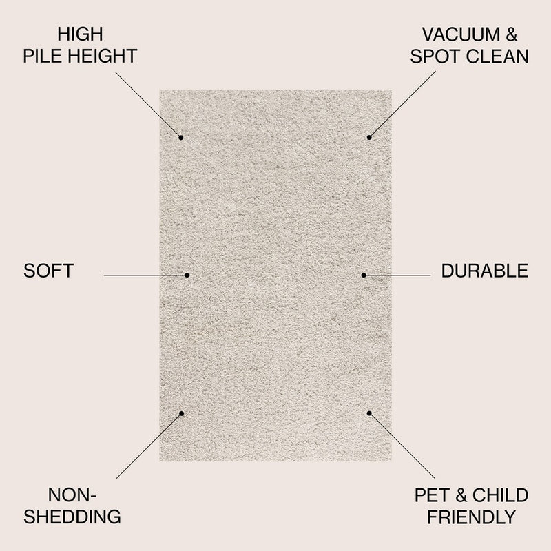 Mercer Shag Plush Area Rug