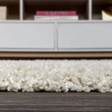 Mercer Shag Plush Area Rug