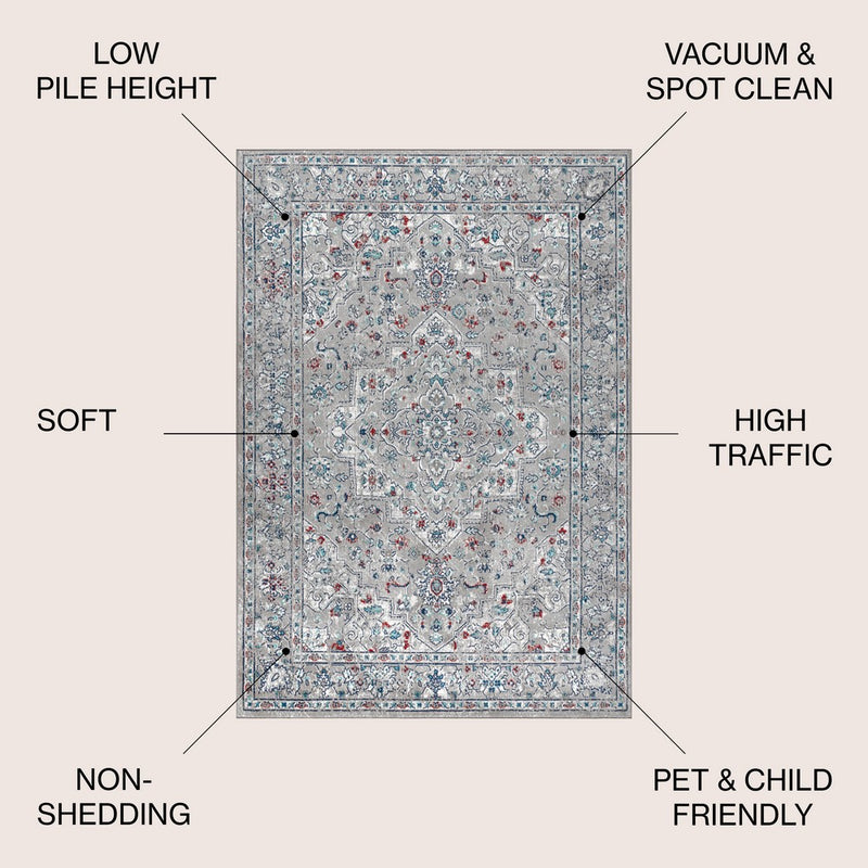 Sierra modern Persian Vintage Medallion Area Rug