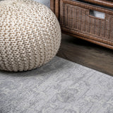 Friv modern Persian Vintage Medallion Area Rug