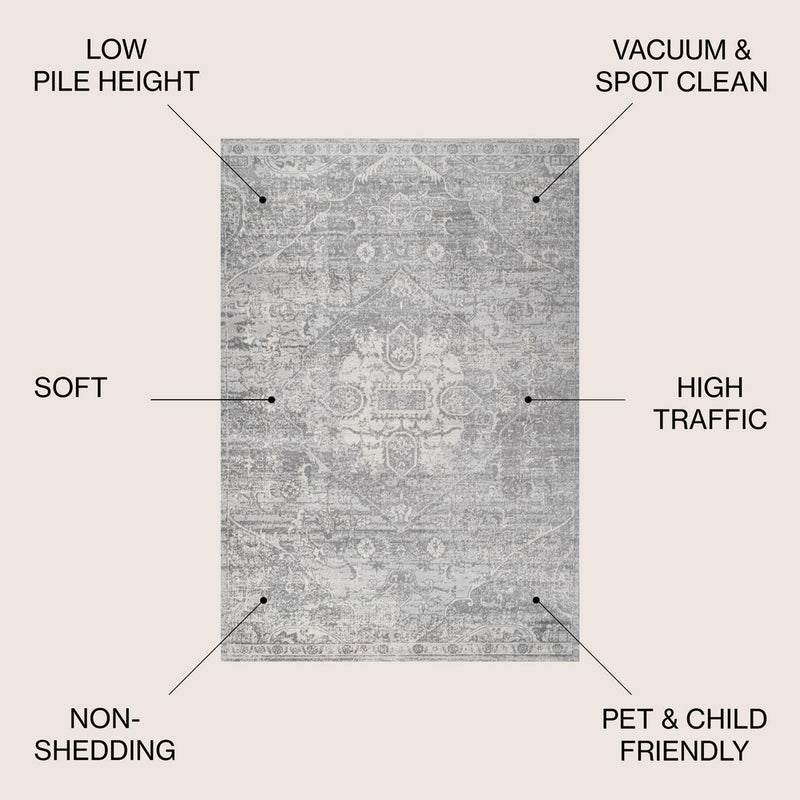 Friv modern Persian Vintage Medallion Area Rug