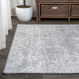 Friv modern Persian Vintage Medallion Area Rug