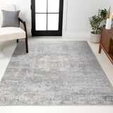 Friv modern Persian Vintage Medallion Area Rug