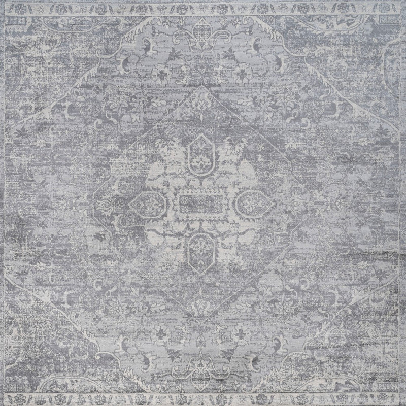 Friv modern Persian Vintage Medallion Area Rug