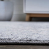 Edison modern Persian Vintage Medallion Area Rug