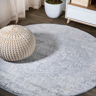 Edison modern Persian Vintage Medallion Area Rug