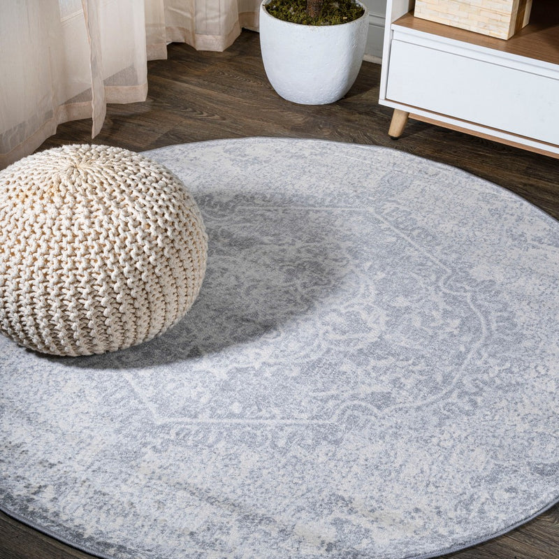 Edison modern Persian Vintage Medallion Area Rug