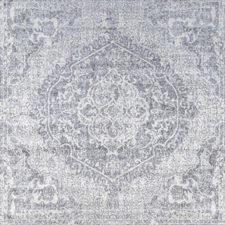 Edison modern Persian Vintage Medallion Area Rug