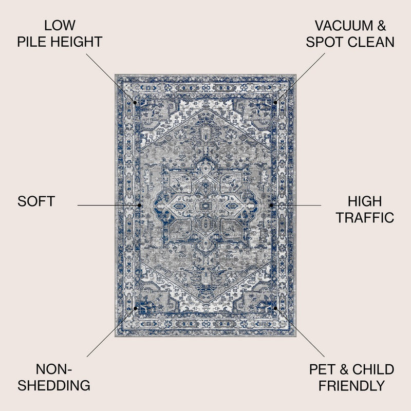 Jerica modern Persian Vintage Medallion Area Rug