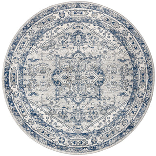 Jerica modern Persian Vintage Medallion Area Rug