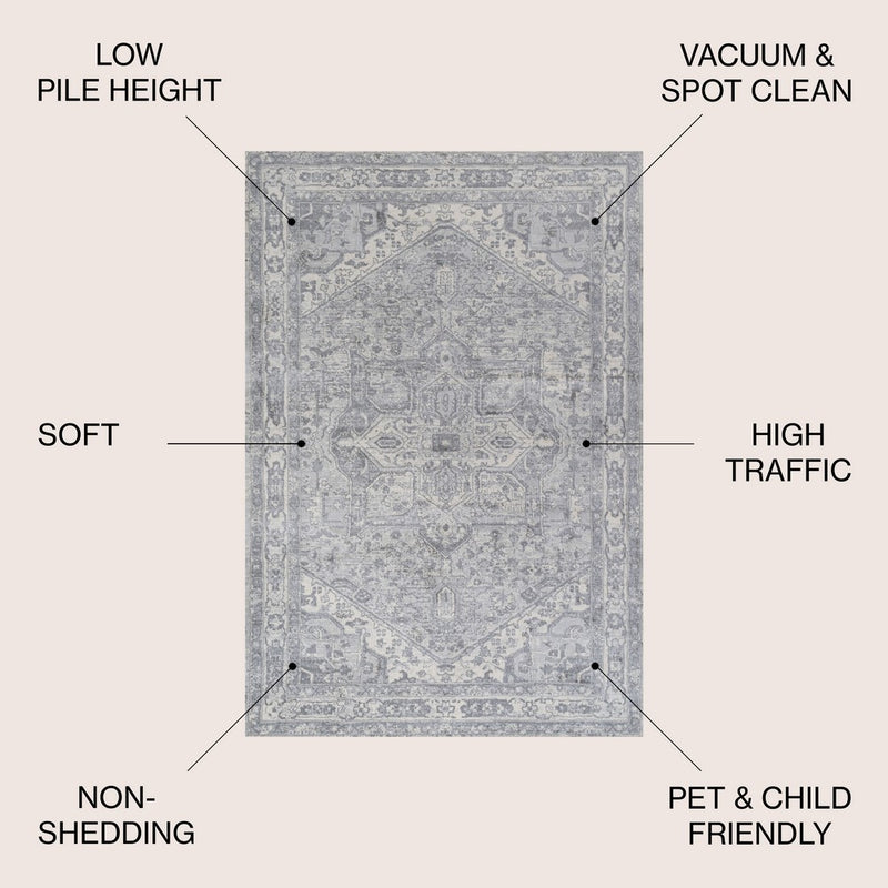 Jerica modern Persian Vintage Medallion Area Rug