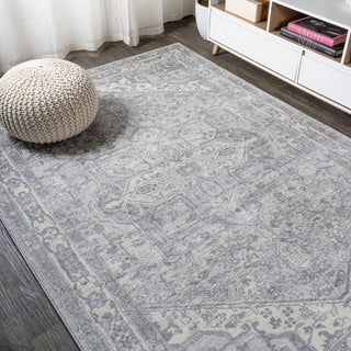 Jerica modern Persian Vintage Medallion Area Rug