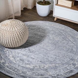 Jerica modern Persian Vintage Medallion Area Rug
