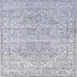 Jerica modern Persian Vintage Medallion Area Rug