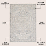 Jerica modern Persian Vintage Medallion Area Rug