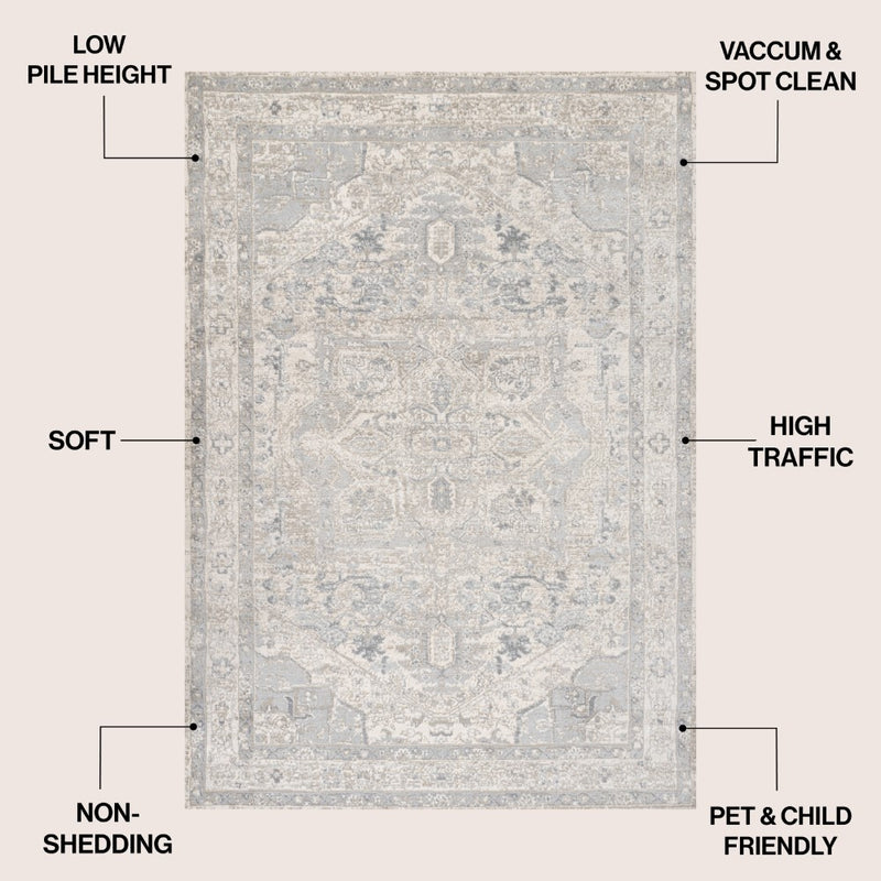 Jerica modern Persian Vintage Medallion Area Rug