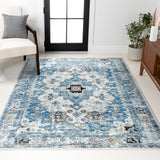 Modern Persian Boho Vintage Medallion Area Rug