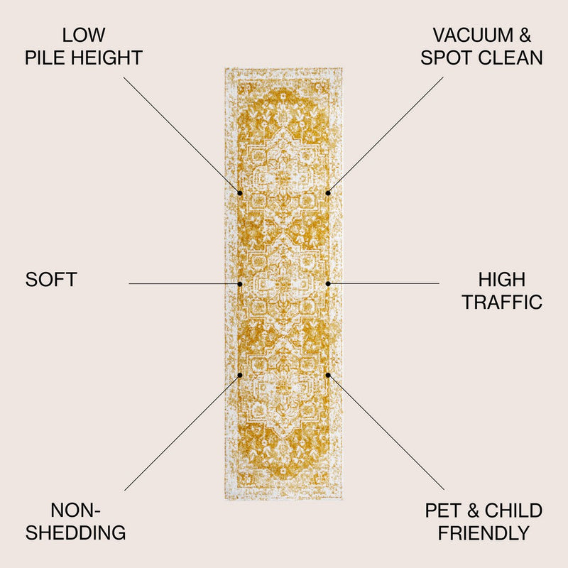 Audrey Ornate Medallion Bohemian Area Rug