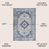 Indhira Ornate Medallion Persian Area Rug