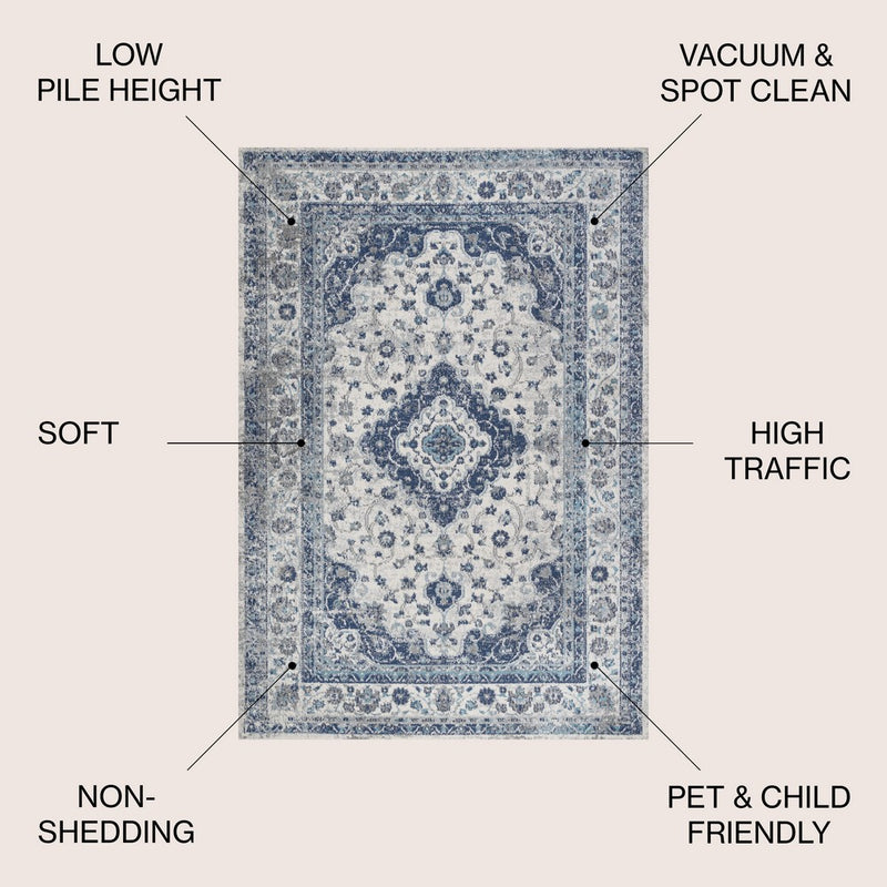 Indhira Ornate Medallion Persian Area Rug