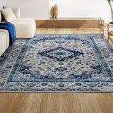 Indhira Ornate Medallion Persian Area Rug