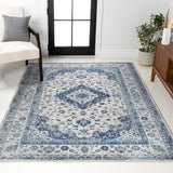 Indhira Ornate Medallion Persian Area Rug