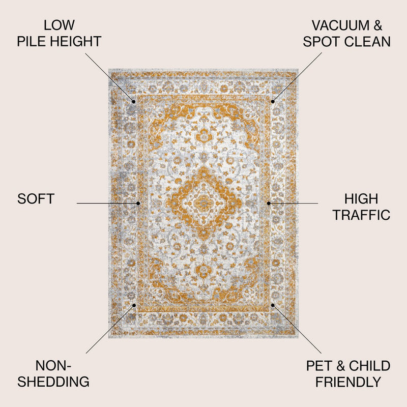 Indhira Ornate Medallion Persian Area Rug