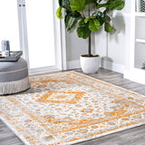 Indhira Ornate Medallion Persian Area Rug