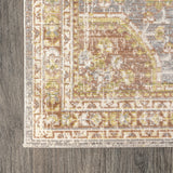 Petras Modern Ornate Medallion Area Rug