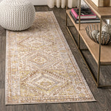 Darija Ornate Geometric Medallion Area Rug
