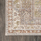 Darija Ornate Geometric Medallion Area Rug